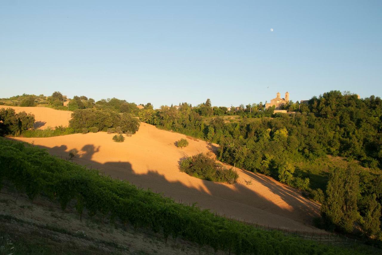 Biancopecora Villa Sant'Elpidio Morico Екстериор снимка