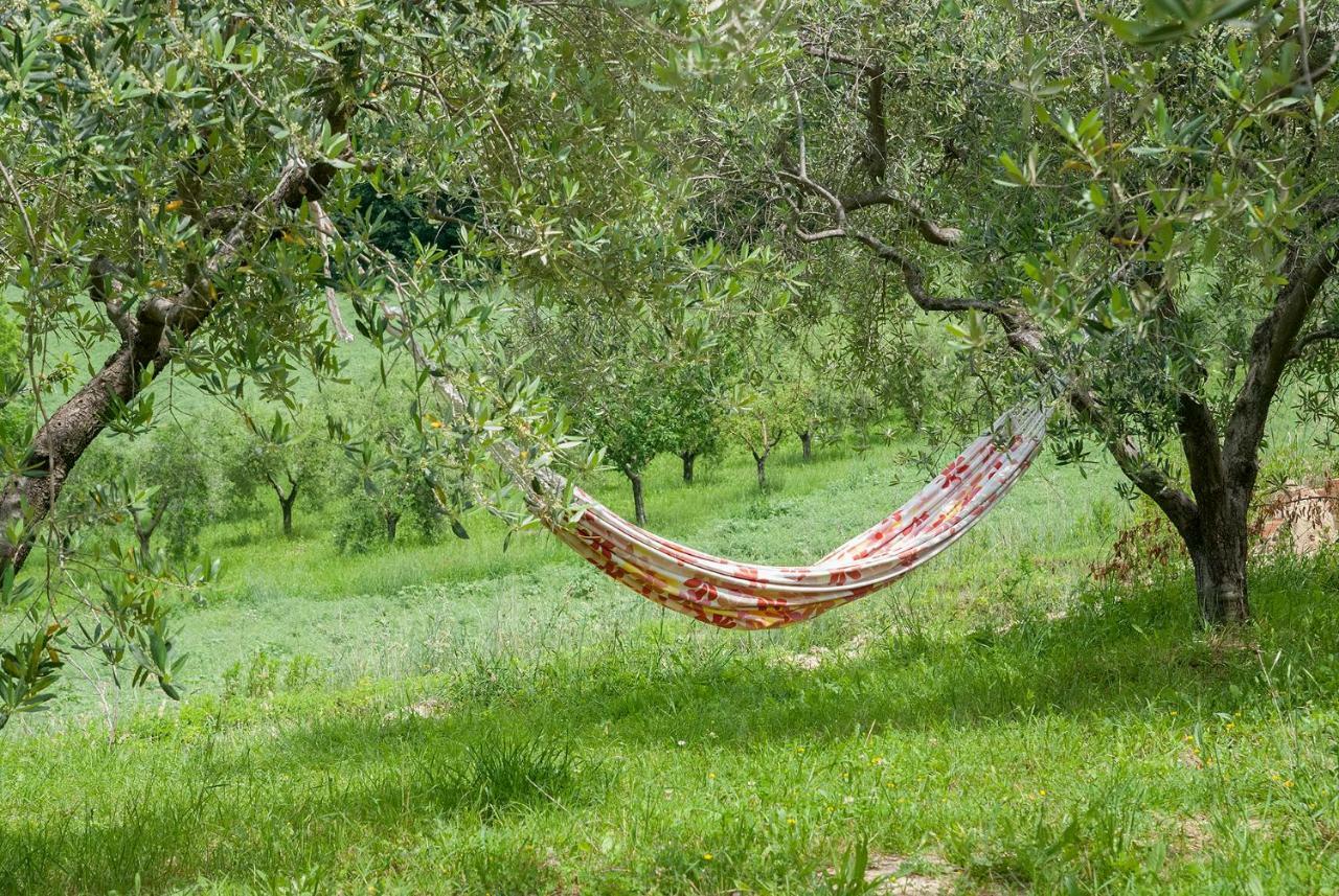 Biancopecora Villa Sant'Elpidio Morico Екстериор снимка